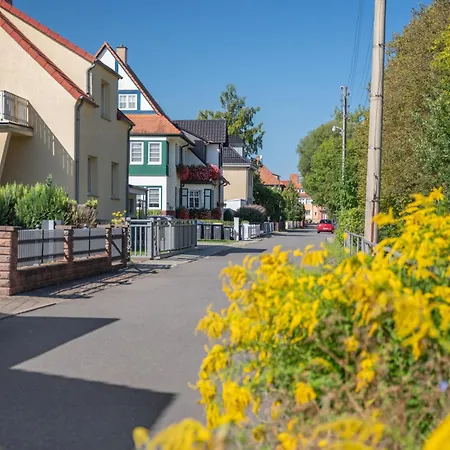 Villamaja Vakantiehuis